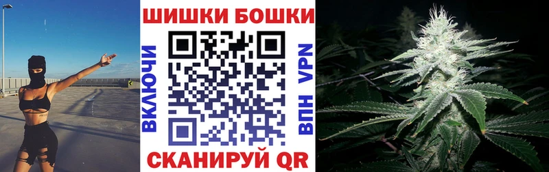 наркота  Светлогорск  Бошки Шишки конопля 